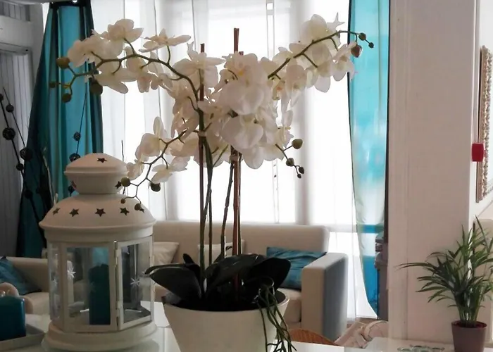 호텔 Ermeti Brunch 리치오네